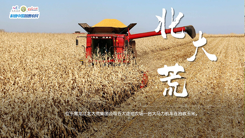 糧田繪“豐”景 | 顆粒歸倉！全國秋糧收獲超11億畝