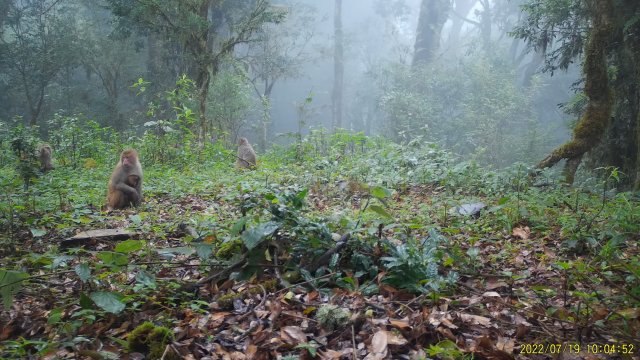 7月19日拍攝 (6).jpg