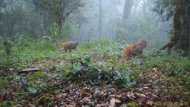 7月19日拍攝 (5).jpg