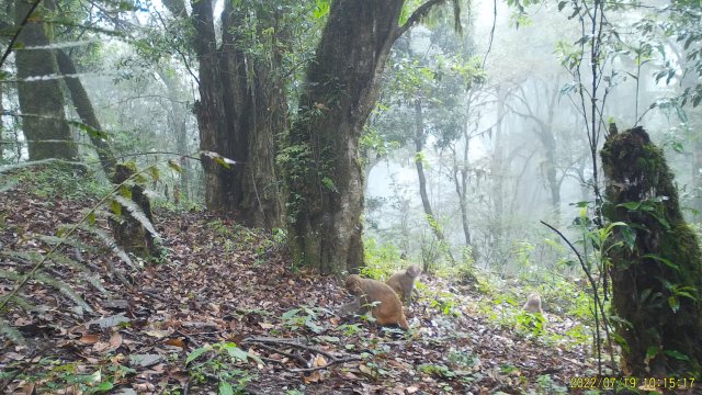 7月19日拍攝 (3).jpg