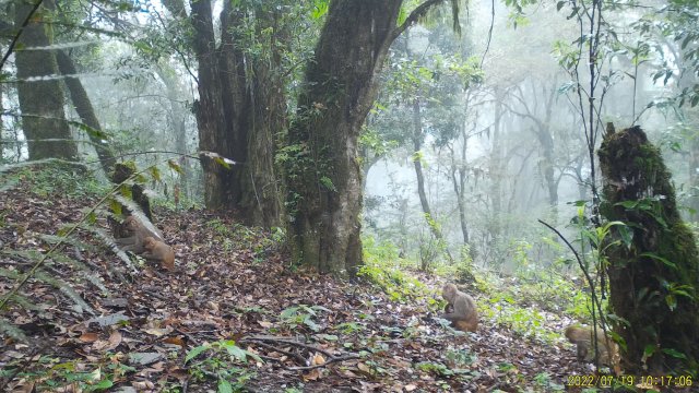 7月19日拍攝 (4).jpg