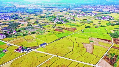 推動(dòng)綠色發(fā)展 促進(jìn)人與自然和諧共生