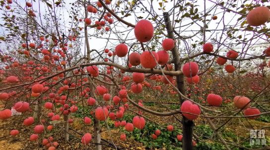 360截圖18430709628859 360截圖18430709628859