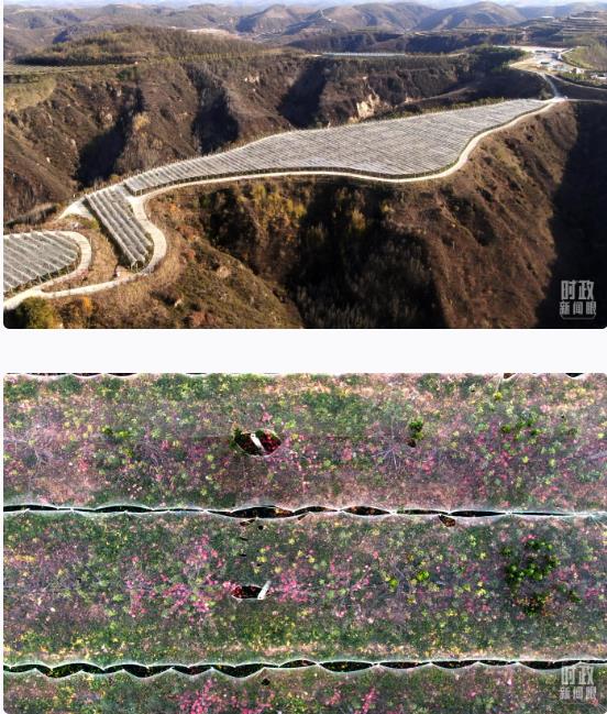 360截圖18430709519978 360截圖18430709519978