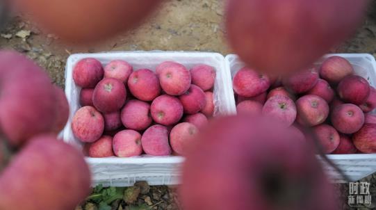 360截圖18430710699476 360截圖18430710699476