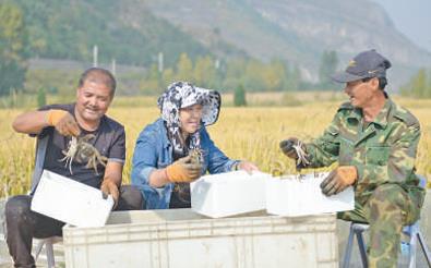 360截圖18200428387140 360截圖18200428387140