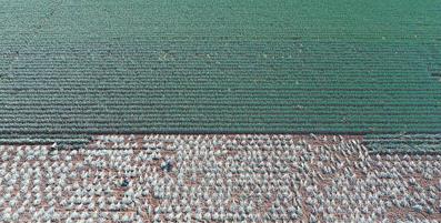 360截圖170602238076105 360截圖170602238076105