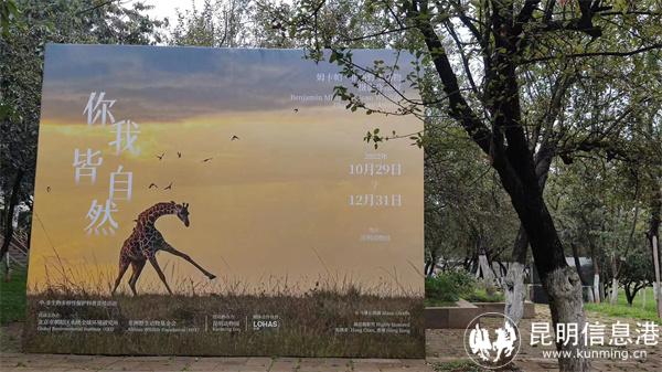 mmexport1667041157744(1) mmexport1667041157744(1)