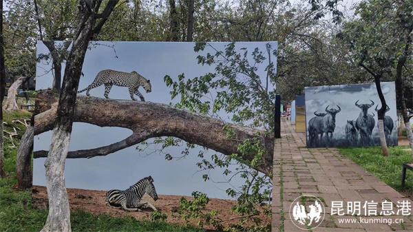 mmexport1667050793483(1) mmexport1667050793483(1)