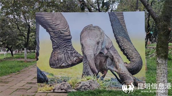 mmexport1667050799308(1) mmexport1667050799308(1)