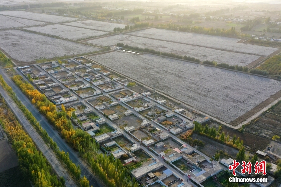 圖為10月18日，新疆阿克蘇地區(qū)沙雅縣紅旗鎮(zhèn)一處棉田。（無人機照片） 中新社發(fā) 柳玉柱 攝