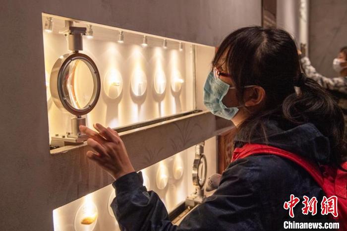 在蓉港澳臺僑大學(xué)生參觀成都熊貓基地?！⒅铱?攝