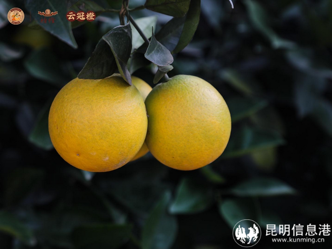 312fc4c2c42a3b27a31a0f8b1b17afd 312fc4c2c42a3b27a31a0f8b1b17afd