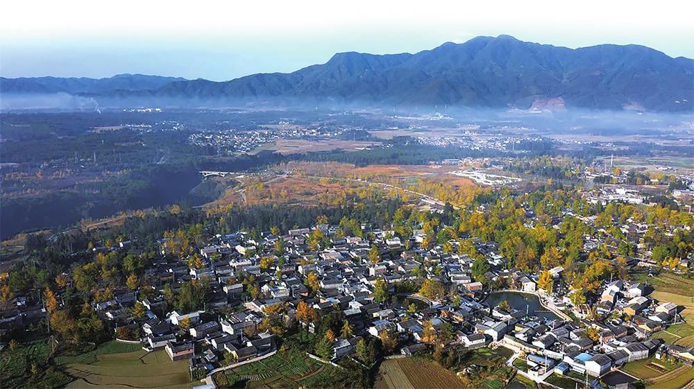 微信圖片_20221031092230 微信圖片_20221031092230