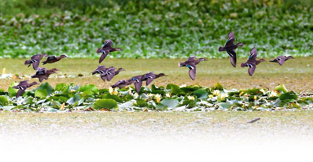 企業(yè)微信截圖_16671806491084