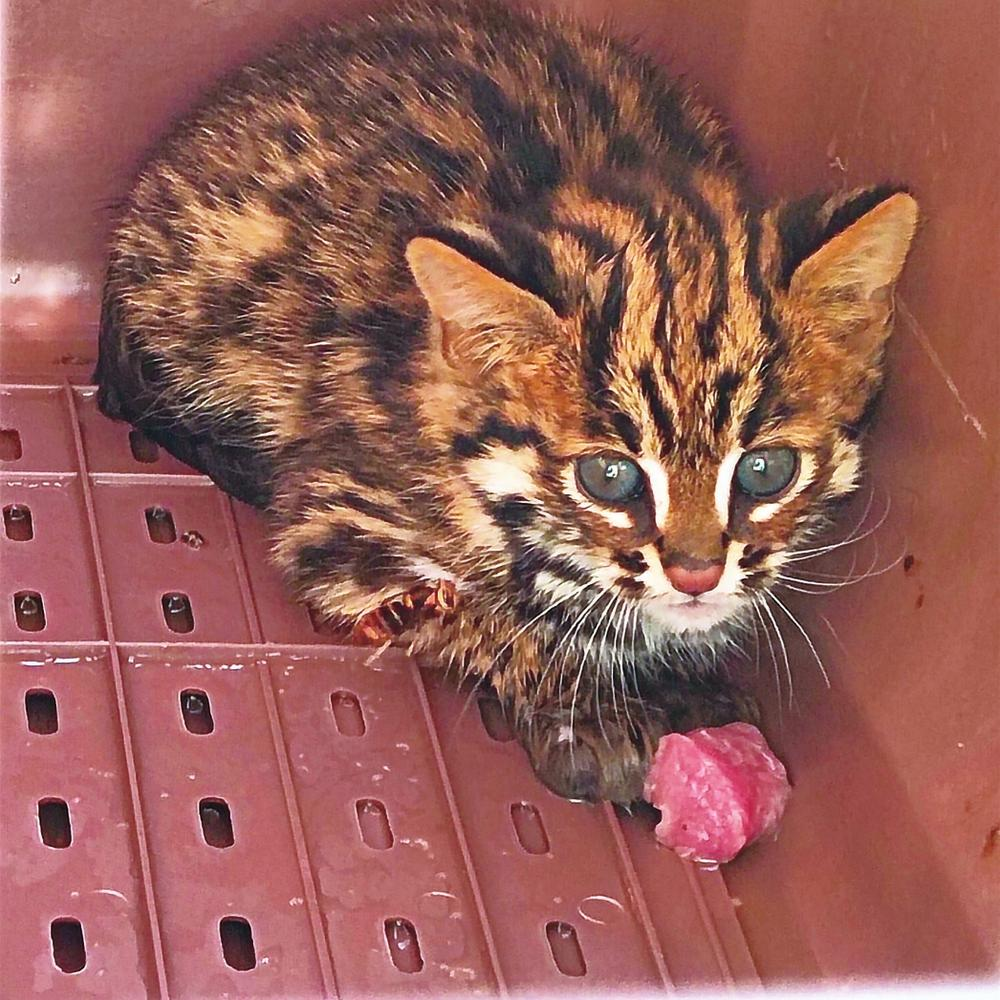 企業(yè)微信截圖_16671808842674 企業(yè)微信截圖_16671808842674