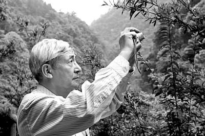 許智宏：翩翩江南客 依依草木情