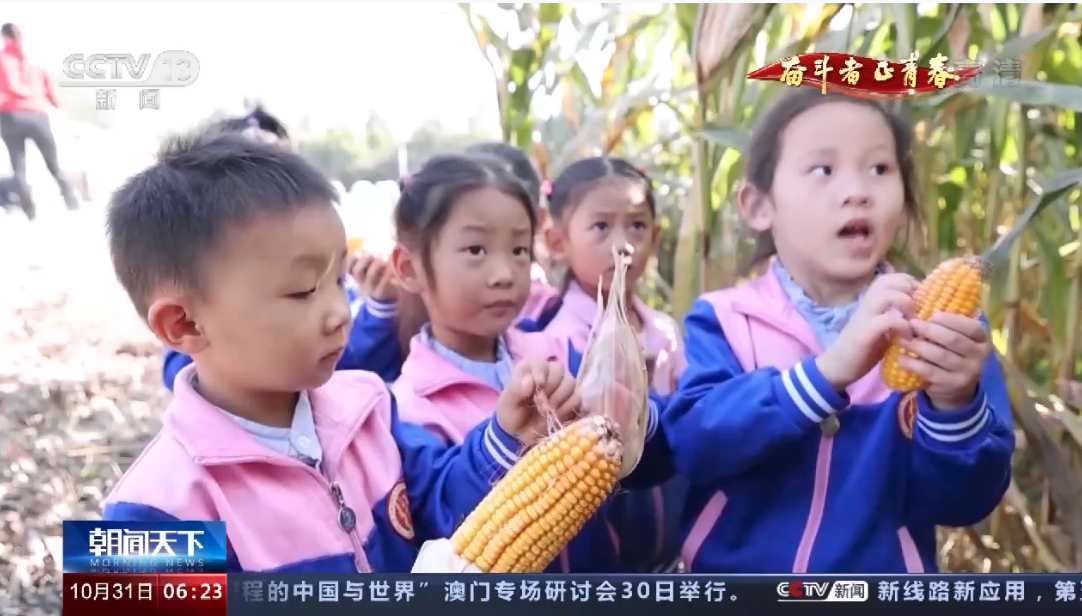 截屏2022-10-31 17.19.02