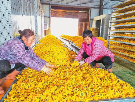 微信截圖_20221101075145