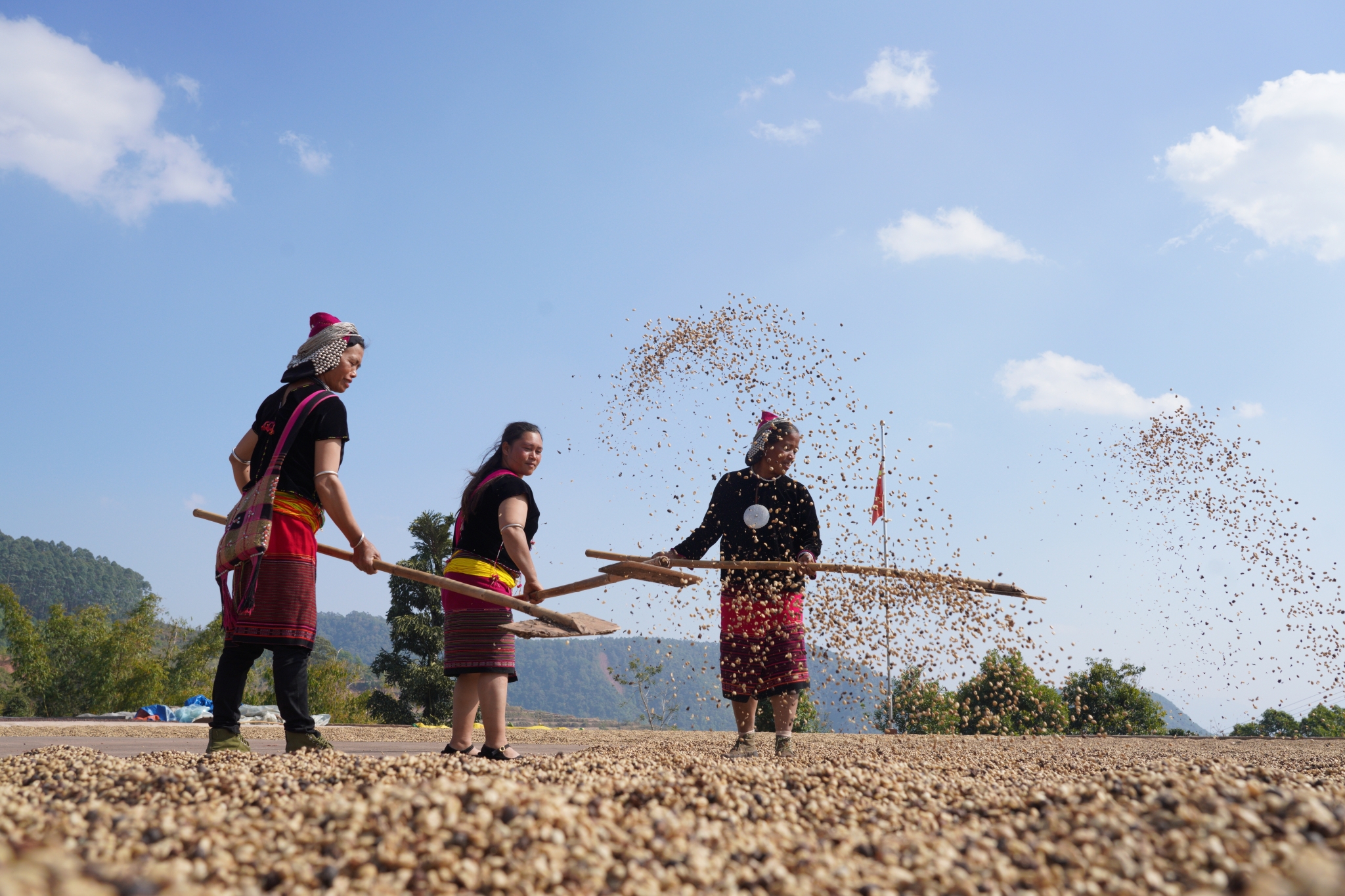 1667265421707170.jpg?x-oss-process=style/w10 微信圖片_20221101090930.jpg?x-oss-process=style/w10