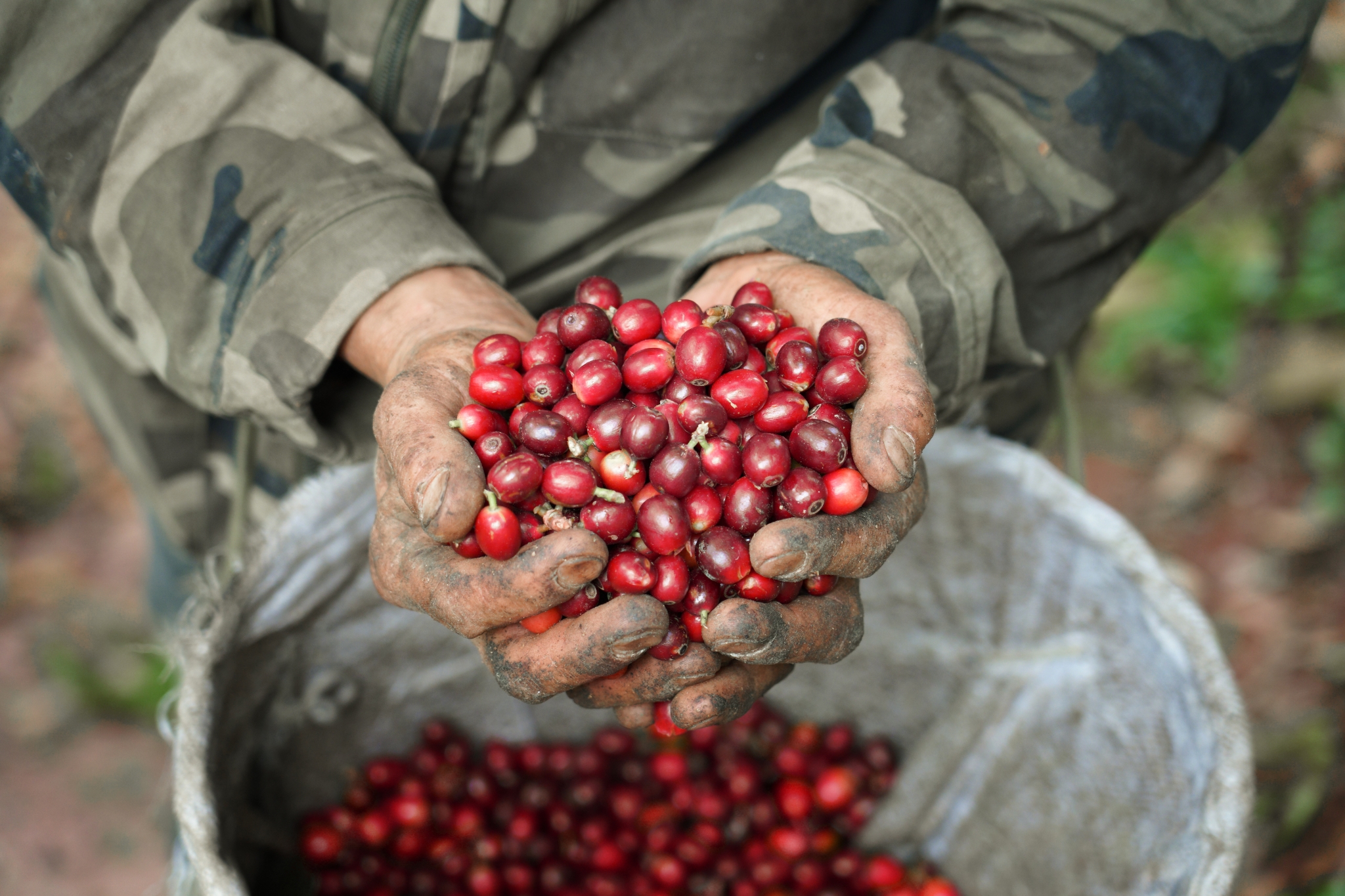 1667265587586467.jpg?x-oss-process=style/w10 微信圖片_20221101091018.jpg?x-oss-process=style/w10