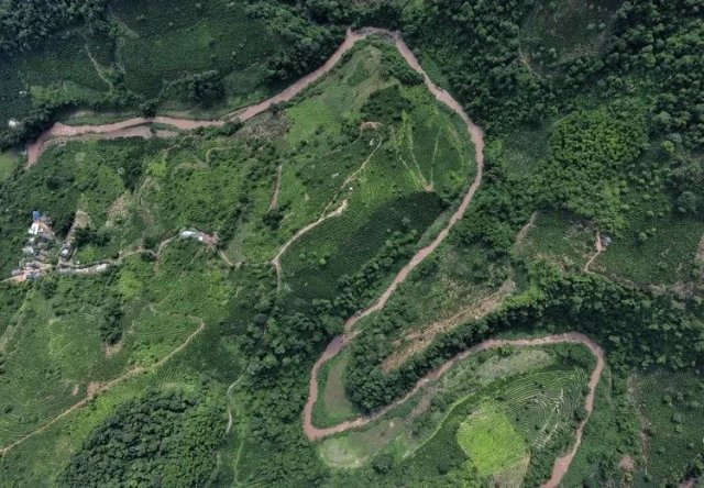 香飄世界！海外媒體聚焦云南咖啡