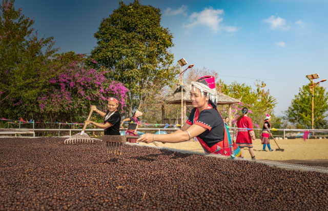 香飄世界！海外媒體聚焦云南咖啡