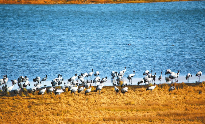 微信截圖_20221102075040