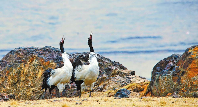 微信截圖_20221102075054