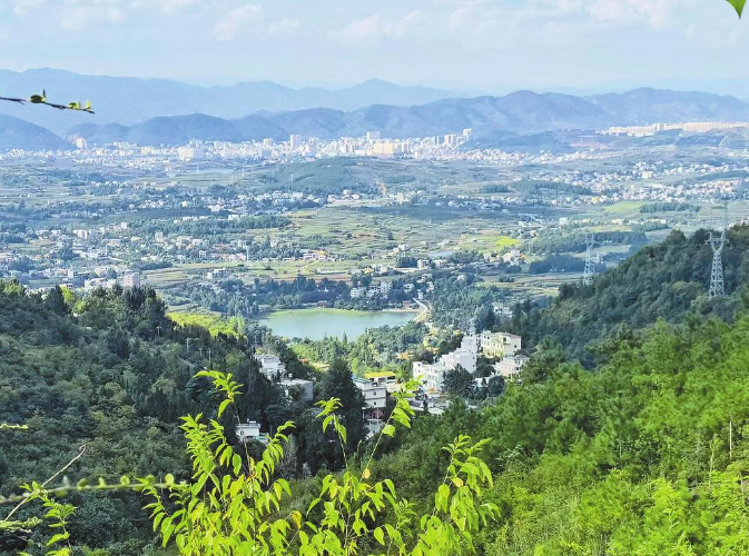 微信截圖_20221102080707