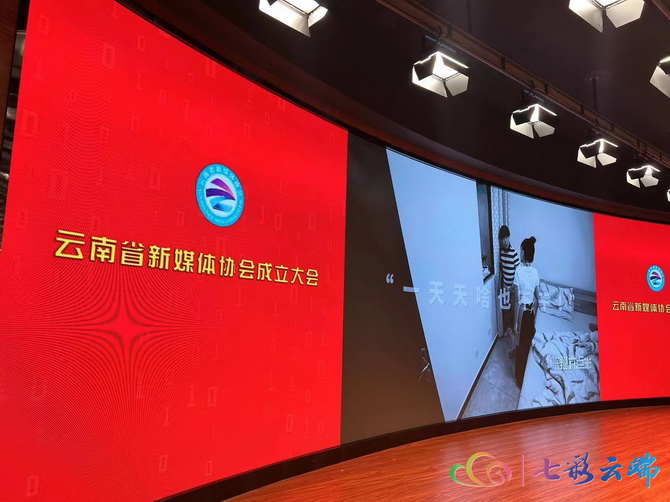 9DBF9737343D49E1B5A85B602473B4771