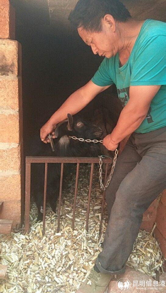 QQ圖片20180426140736