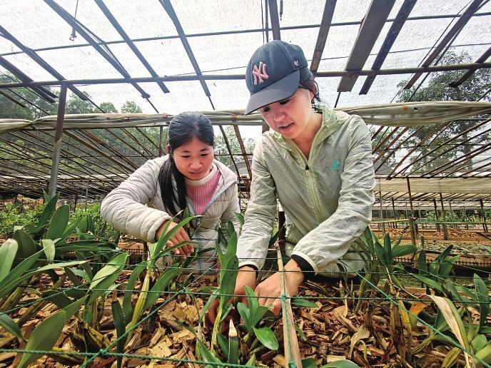 微信圖片_20221103094846 微信圖片_20221103094846