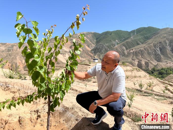 青海尖扎：村里架起“致富橋”村民日子富起來