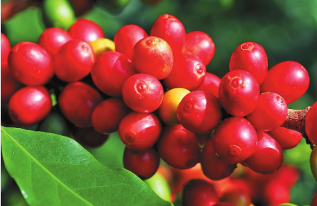 微信截圖_20221104075900