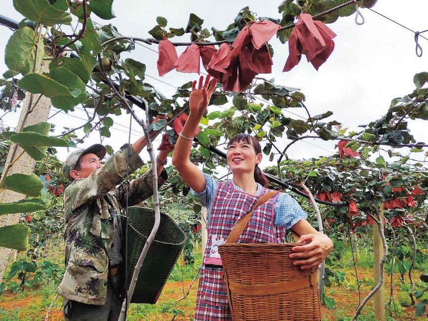 微信圖片_20221104094258 微信圖片_20221104094258