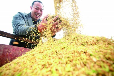 抱團(tuán)聚力 讓興村富民火更旺