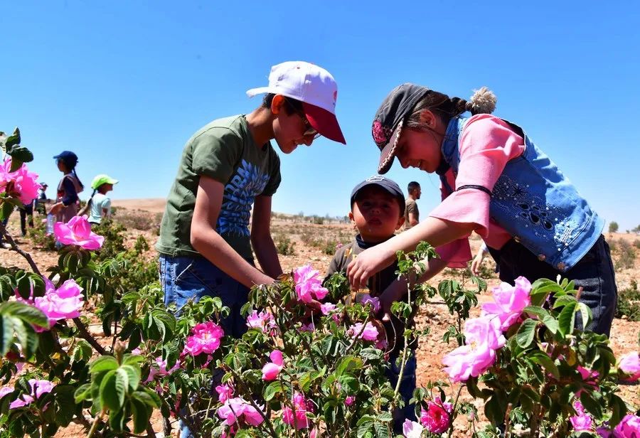 1211697812_16675536881881n