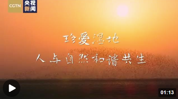 微信截圖_20221106164518