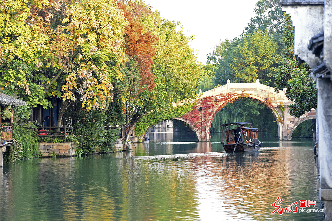 【魅力“e”烏鎮(zhèn)】組圖丨2022年世界互聯(lián)網(wǎng)大會烏鎮(zhèn)峰會即將啟幕 為你分享一波烏鎮(zhèn)風(fēng)光