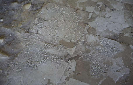 圓明園澹泊寧?kù)o遺址考古發(fā)掘取得重要成果