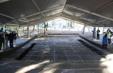 圓明園澹泊寧?kù)o遺址考古發(fā)掘取得重要成果