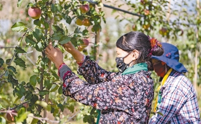 31fa296e413d3dc6ce99d66e777d5563_202211080550539249.jpg 31fa296e413d3dc6ce99d66e777d5563_202211080550539249.jpg