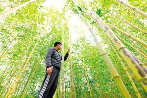 微信圖片_20221109090248 微信圖片_20221109090248