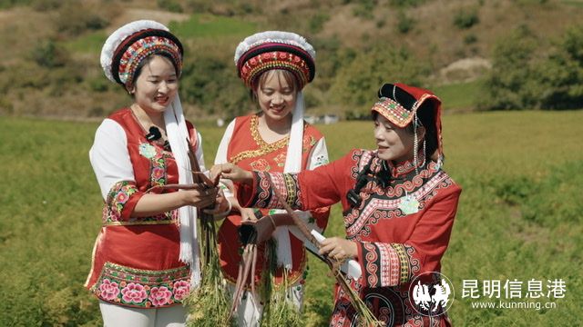 1220095_2048x2048 1220095_2048x2048