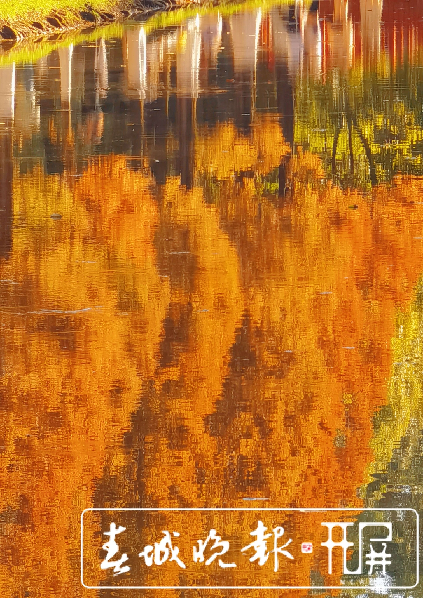 采蓮河-開屏新聞馬雯 (1).jpg