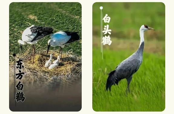 06643a5582174f67aaec7930cd5ca5bc 06643a5582174f67aaec7930cd5ca5bc