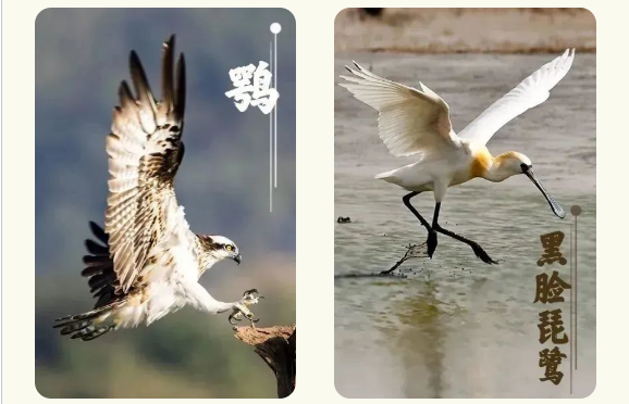 cb9934d5a02e416bb837827cfcf65e16 cb9934d5a02e416bb837827cfcf65e16