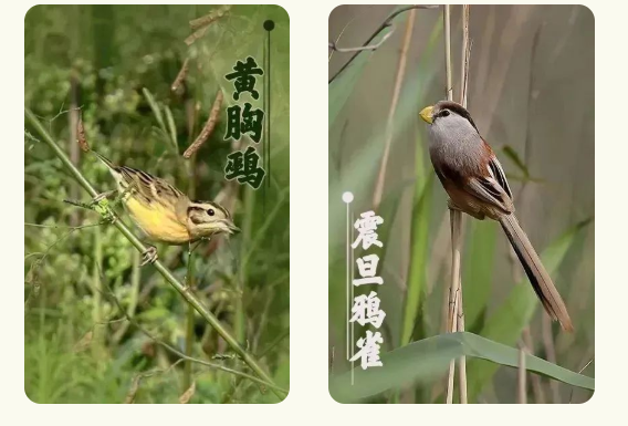 eaeb58c57160485b8472253b446b01af eaeb58c57160485b8472253b446b01af