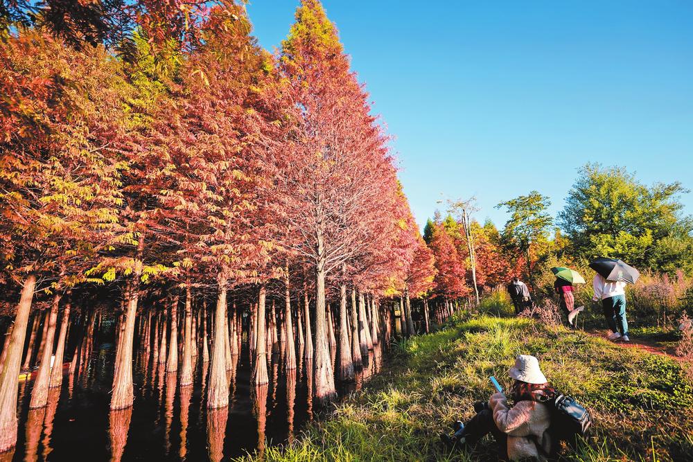 958505f9-c8bb-4c81-9ae4-c8394b8fdf9c 958505f9-c8bb-4c81-9ae4-c8394b8fdf9c